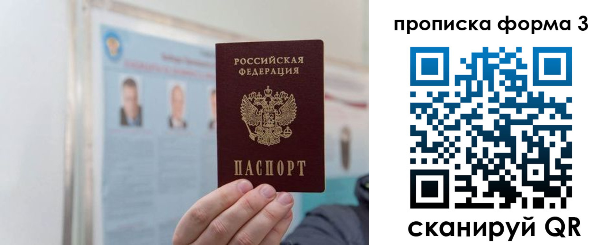 прописка законно в Оленегорске